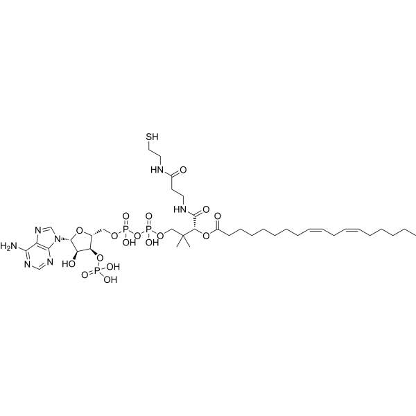 9(Z),12(Z)-Octadecadienoyl coenzyme 6709-57-5